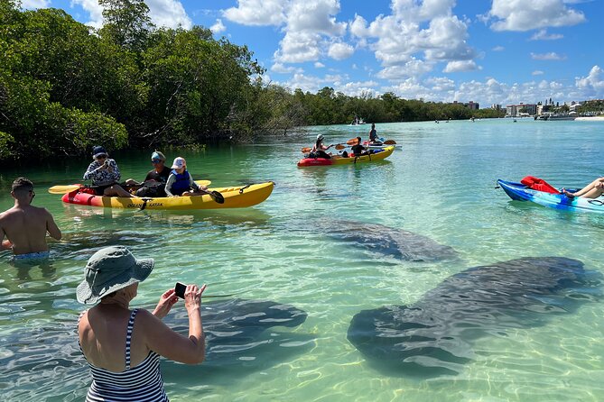 Guided Dolphin Eco Tour by Kayak & SUP - Fort Myers Beach, FL - Starting from Bonita Springs for Big Hickory Island