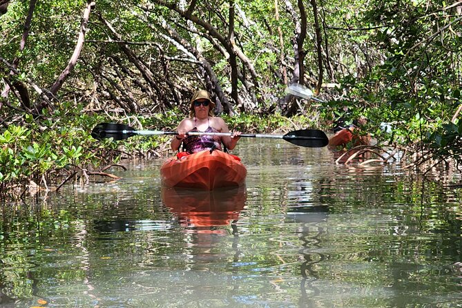Guided Dolphin Eco Tour by Kayak & SUP - Fort Myers Beach, FL - Paddling through the mangrove tunnels