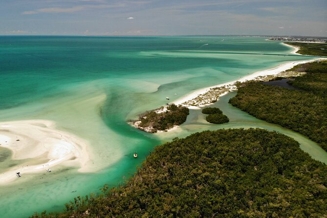 Guided Dolphin Eco Tour by Kayak & SUP - Fort Myers Beach, FL - Wildlife watching with Nick, Hannah, and the team
