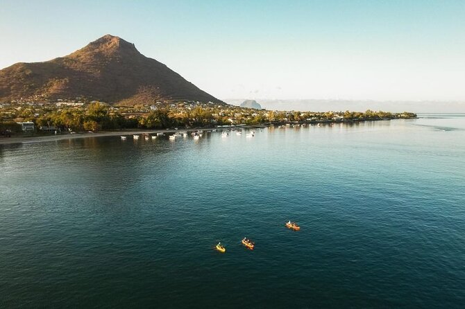 Guided Kayak 2-Hour Activity with Dolphins - What a dolphin sighting may look like