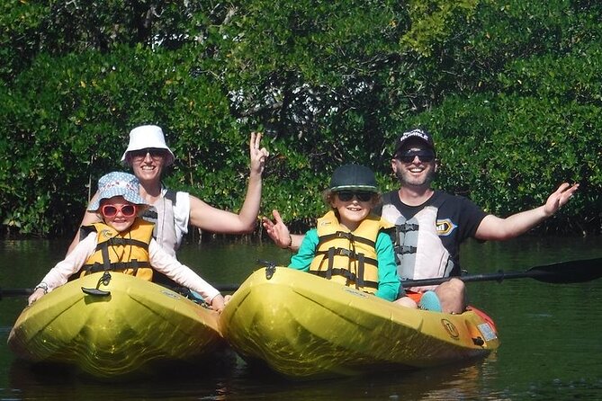 Guided Kayak Dolphin Eco Tour in Pelican Bay - Key Points to Know Before You Paddle
