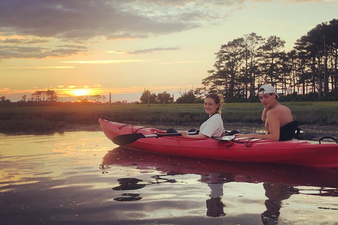 Guided Kayak Tour to see ponies, birds, dolphins and more - The route can change for good reasons