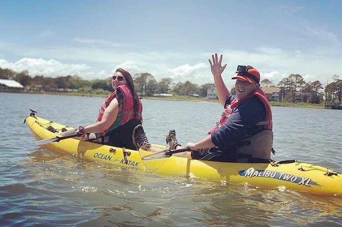 Guided Kayak Tour to see ponies, birds, dolphins and more - Who should book this experience?