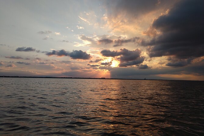 Guided Kayak Tour with Manatee & Dolphin Sightings - What makes the guide important