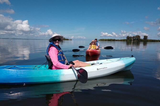 Guided Kayak Tour with Manatee & Dolphin Sightings - How much value do you get for $50?