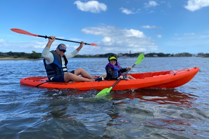 Guided Tour for Dolphin & Sea Turtle Observation in Saint Augustine, Florida - Wildlife watching without promises