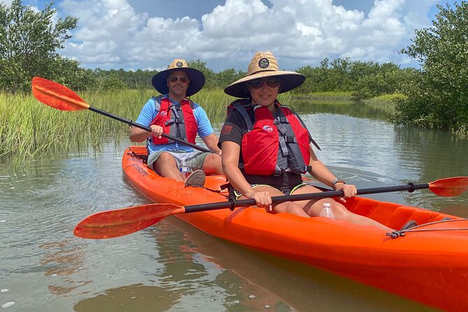 Guided Tour for Dolphin & Sea Turtle Observation in Saint Augustine, Florida - What the $50 price includes