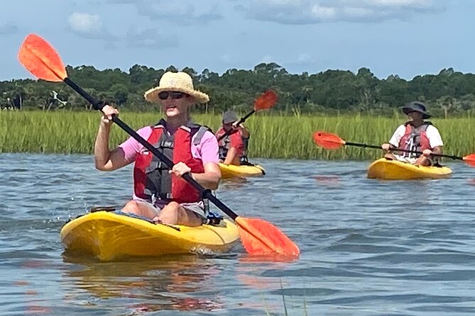 Guided Tour for Dolphin & Sea Turtle Observation in Saint Augustine, Florida - Who will enjoy this kayak tour most