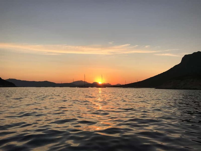 Gulf of Olbia: Dolphin watching by dinghy - From Bados beach to the open water