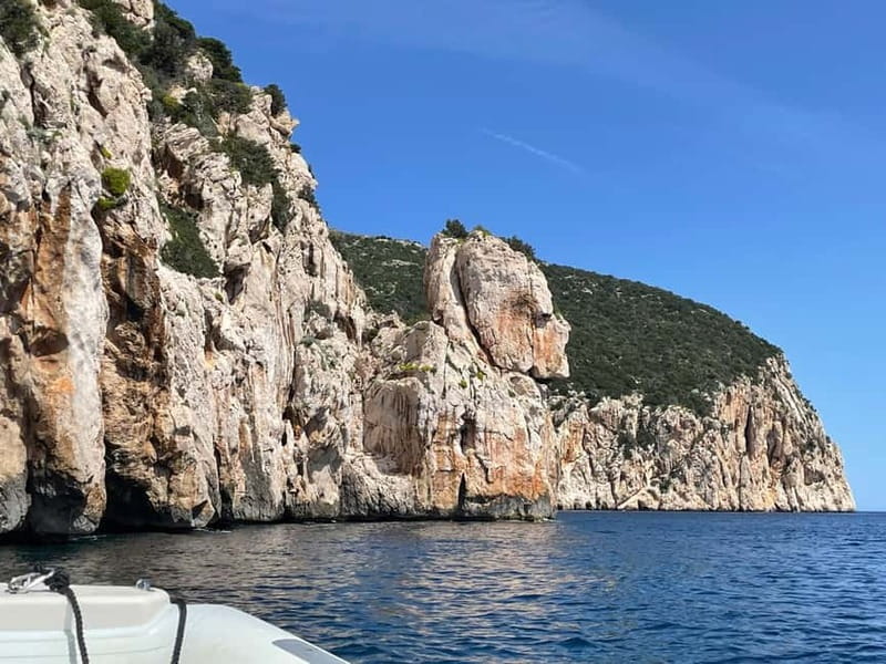 Gulf of Olbia: Dolphin watching by dinghy - Watching dolphins around Isola di Figarolo
