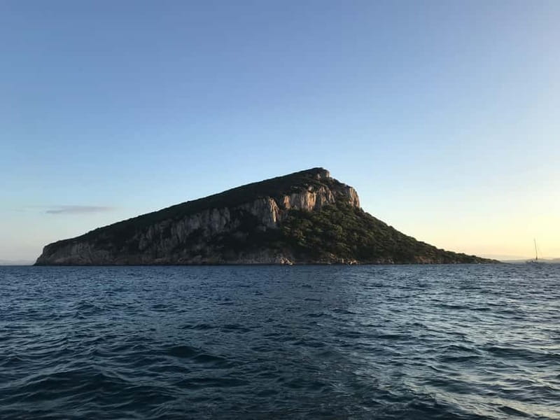 Gulf of Olbia: Dolphin watching by dinghy - Is $41 a fair price?