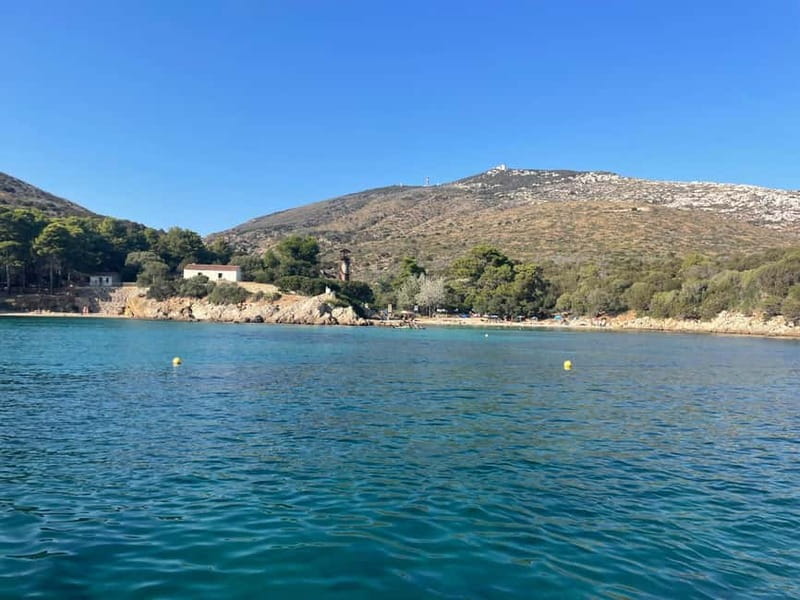 Gulf of Olbia: Dolphin watching by dinghy - What the marine biologist adds
