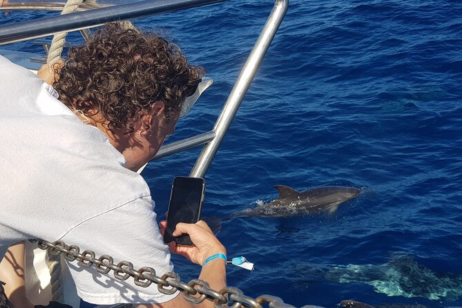Half-Day Cruise Tour-Dolphin and Whale Watching - Setting sail from Puerto Rico Marina