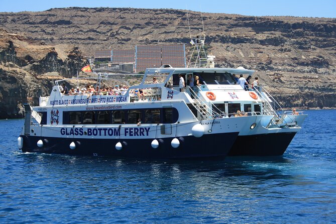 Half-Day Cruise Tour-Dolphin and Whale Watching - Choosing your seat on the catamaran