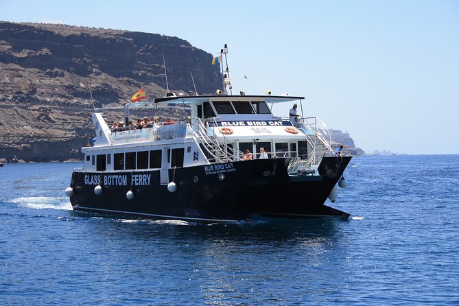 Half-Day Cruise Tour-Dolphin and Whale Watching - The swim and snorkel stop near Puerto Rico