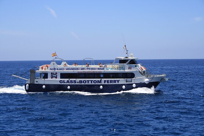 Half-Day Cruise Tour-Dolphin and Whale Watching - Crew service, safety, and the feel onboard