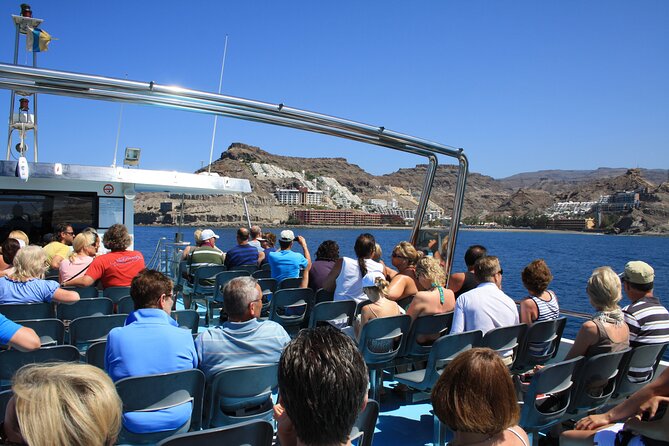 Half-Day Cruise Tour-Dolphin and Whale Watching - Is $44.65 a fair price?