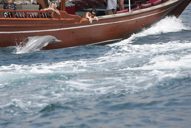 Half Day Dolphin Watching Musandam Dhow Cruise - Small Villages and the Human Side of the Coast