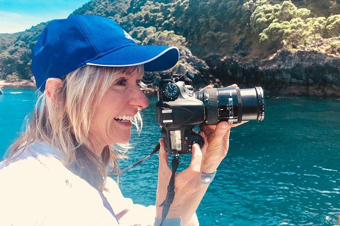 Half Day Dolphin & Wildlife Cruise - Tauranga - Moturiki Island and the search for wildlife