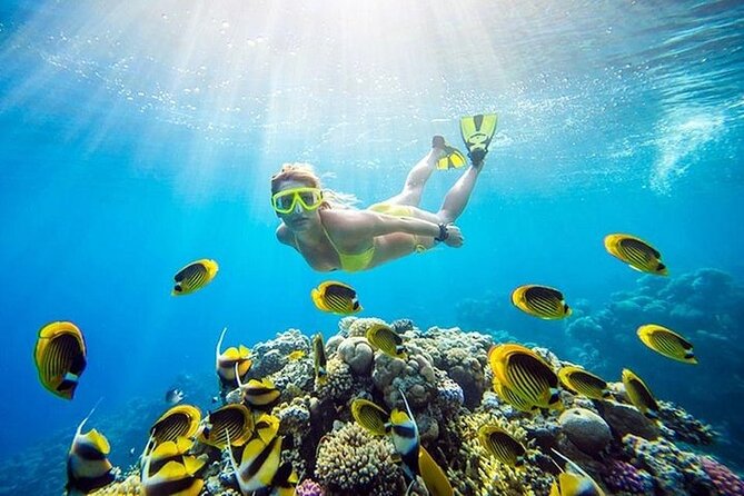 Half Day Private Speedboat Dolphin House & Giftun Island_Hurghada - Is $58.57 a Good Price?