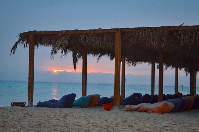 Half Day Private Speedboat Dolphin House & Giftun Island_Hurghada - Who Will Enjoy This Four-Hour Trip