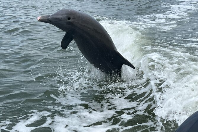 Half Day Shelling Dolphin Eco Tour in 10 000 Island and Marco - Leaving Goodland for the 10,000 Islands