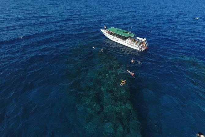Half Day Snorkel to Lanai from Kaanapali Beach + Dolphin Search - Why Lanai instead of another Maui snorkel site?