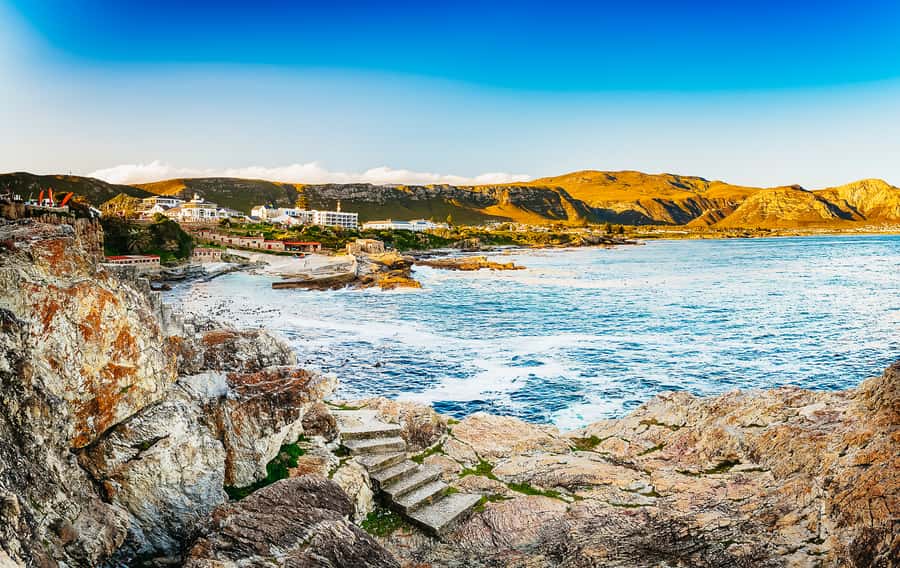 Hermanus: Whale and Dolphin Watching Boat Trip - Dolphins, Seals, and the Days When Whales Stay Away