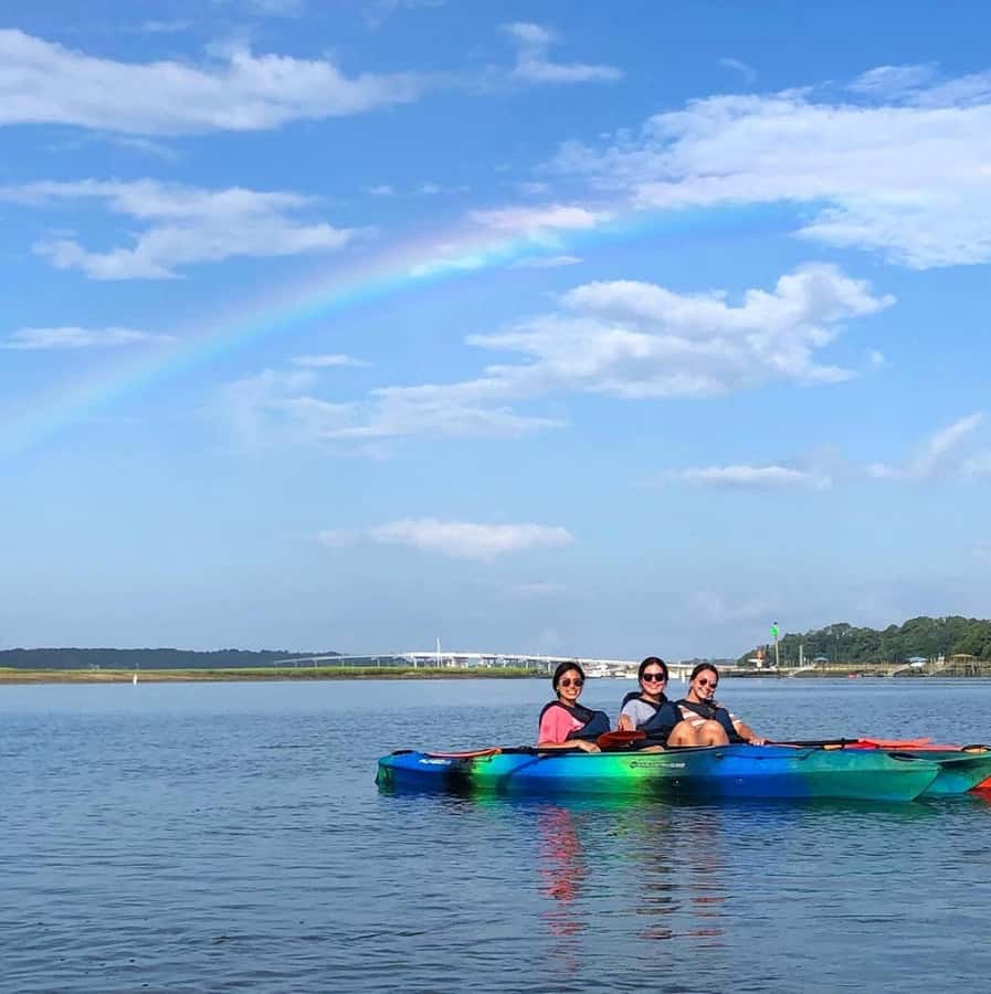 Hilton Head: 2-Hour Kayak Dolphin Nature Tour - Key points at a glance