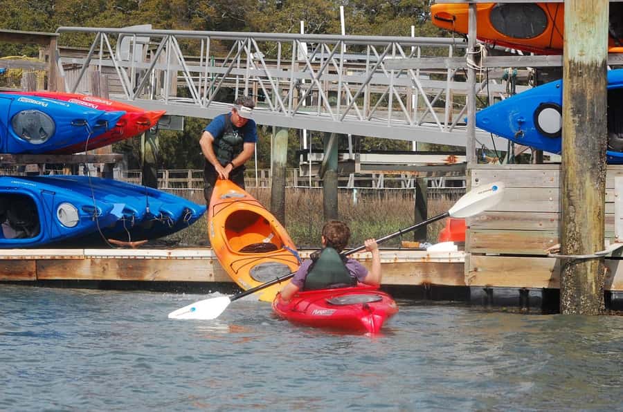 Hilton Head: 2-Hour Kayak Dolphin Nature Tour - Why this Hilton Head kayak tour is worth considering