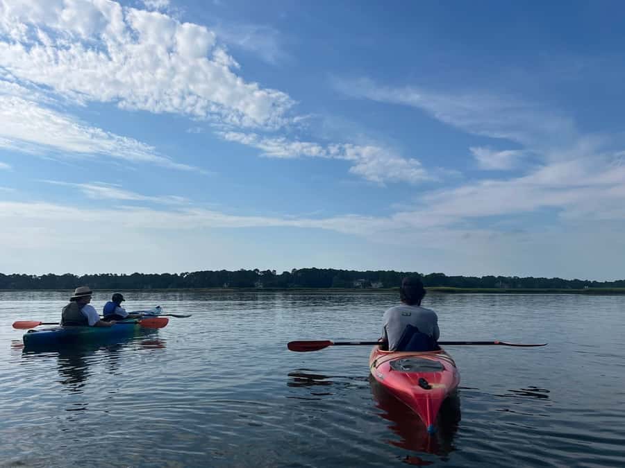 Hilton Head: 2-Hour Kayak Dolphin Nature Tour - Watching dolphins in their natural setting