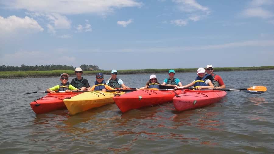 Hilton Head: 2-Hour Kayak Dolphin Nature Tour - A good choice for first-time kayakers