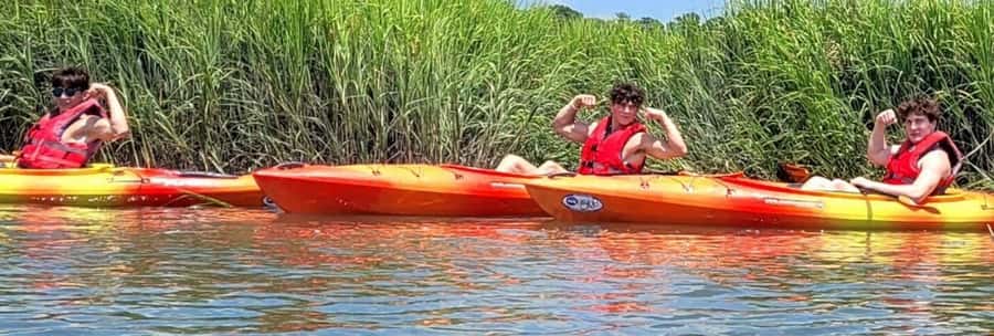 Hilton Head: 2-Hour Kayak Dolphin Nature Tour - Choosing the best time and preparing for the weather