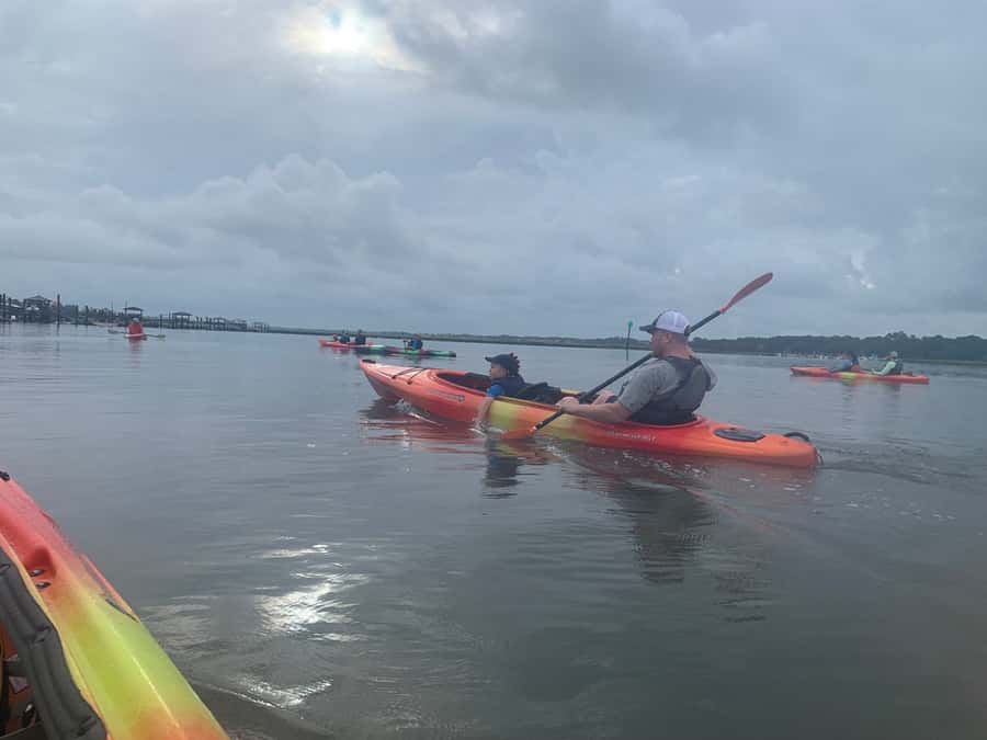 Hilton Head: 2-Hour Kayak Dolphin Nature Tour - Is $47 a good value?
