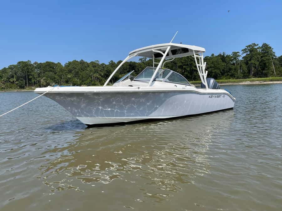Hilton Head: 2 Hour Private Dolphin Tour - What to bring, and what to leave behind