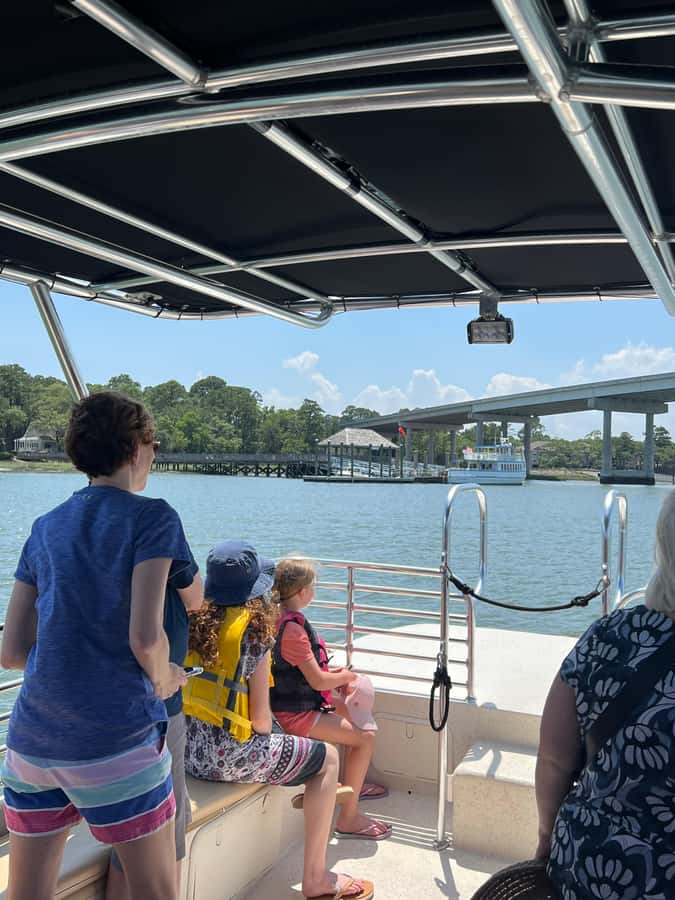 Hilton Head: Dolphin Eco Tour with Naturalist Guide - What the smaller boat changes