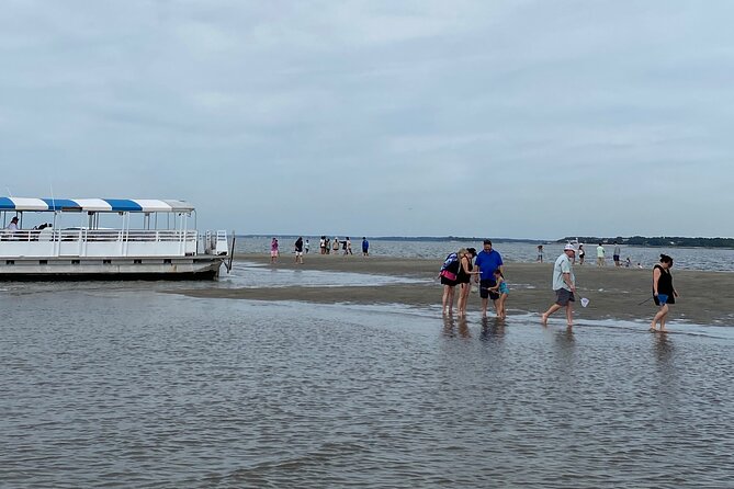 Hilton Head Dolphin Tour with Stop at Disappearing Island - Is this Hilton Head dolphin tour worth booking?