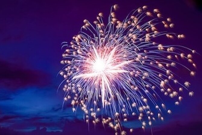 Hilton Head Dolphin Watching Cruise with Fireworks Display - What the crew adds to the ride