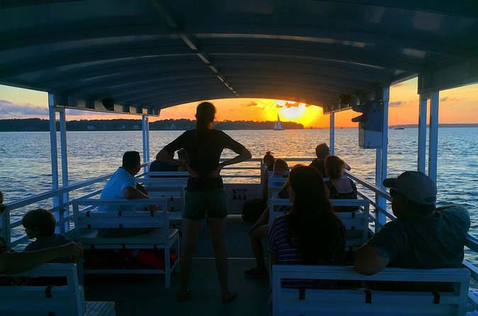 Hilton Head Dolphin Watching Cruise with Fireworks Display - Who should book this Hilton Head cruise?