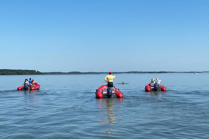 Hilton Head Guided Dolphin Watching & Sightseeing Tour via Mini Boat - Looking toward Daufuskie Island