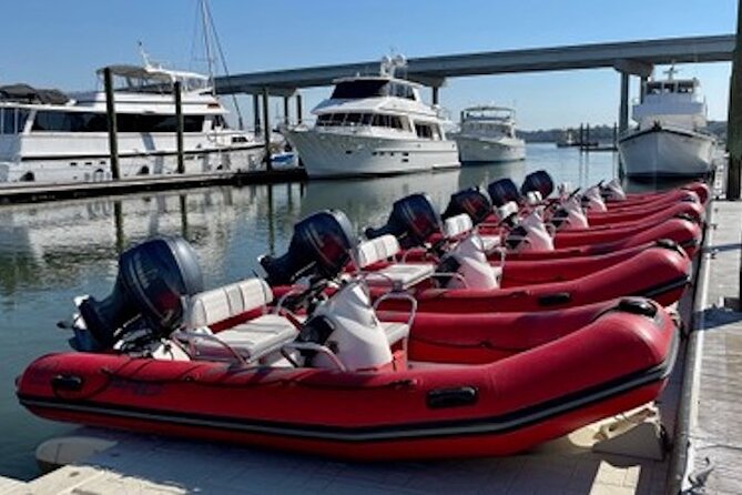 Hilton Head Guided Dolphin Watching & Sightseeing Tour via Mini Boat - Watching for dolphins in the waterways