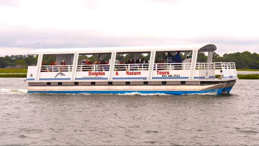 Hilton Head Island: 90-Minute Dolphin & Nature Tour - More than a dolphin chase
