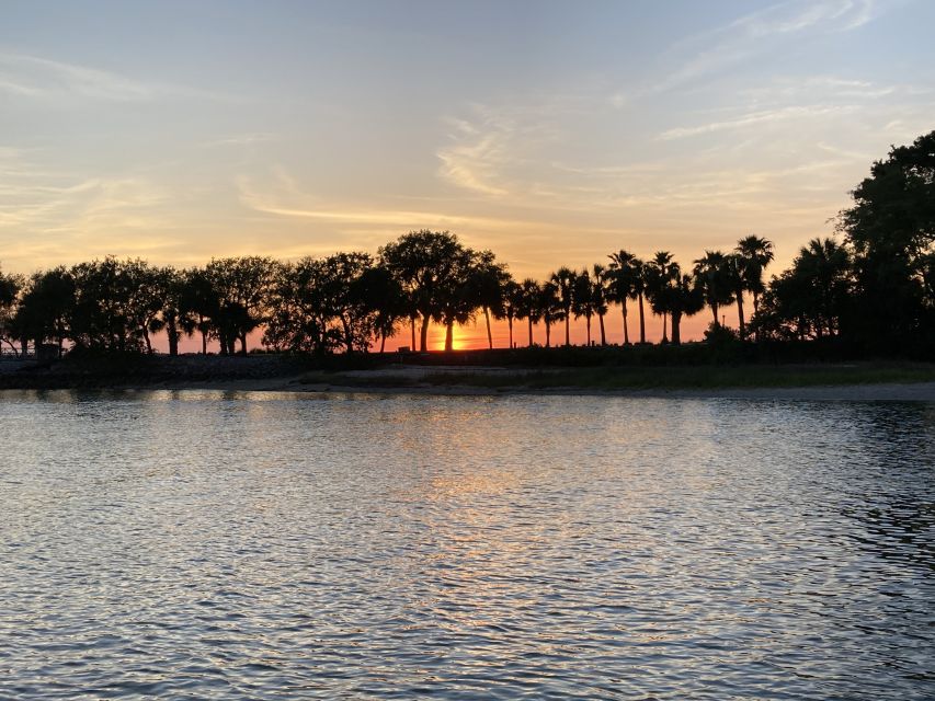 Hilton Head Island: 90-Minute Dolphin & Nature Tour - What the 90 minutes feel like