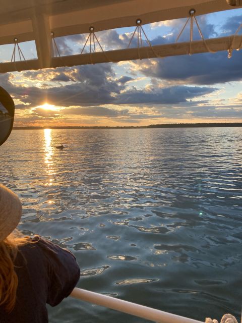 Hilton Head Island: 90-Minute Dolphin & Nature Tour - Food, drinks, and the small practical details