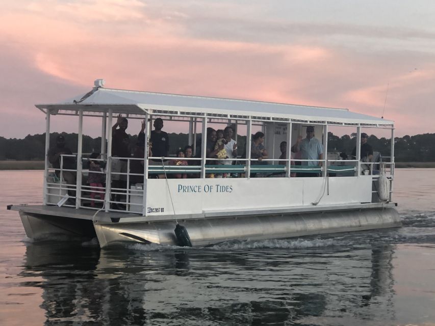 Hilton Head Island: 90-Minute Dolphin & Nature Tour - When to book and what to bring