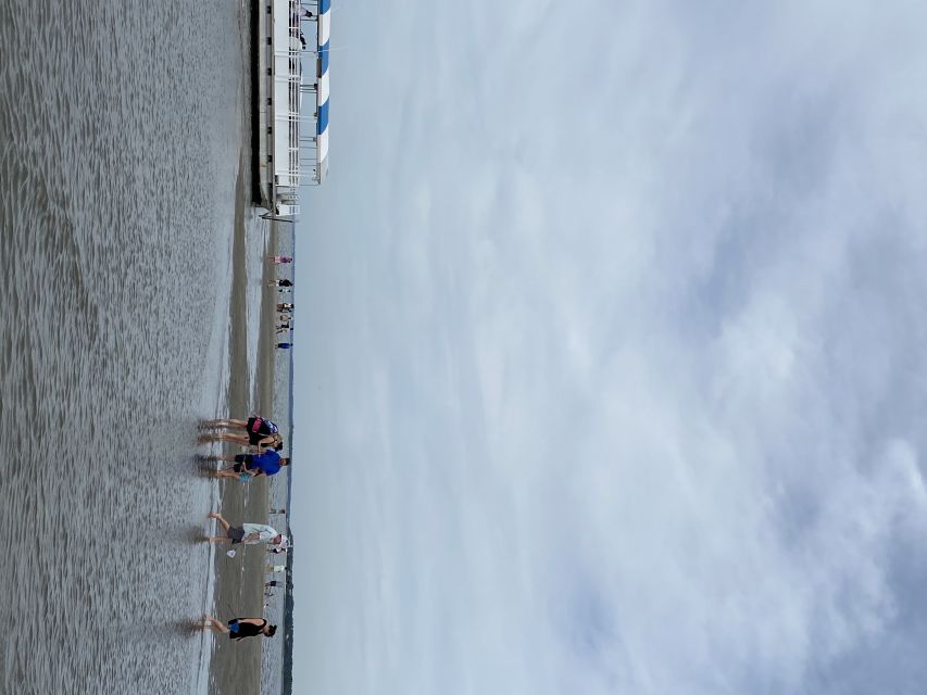 Hilton Head Island: Disappearing Island and Dolphin Tour - Searching for dolphins in Calibogue Sound