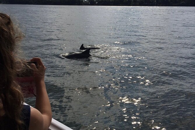 Hilton Head Island Dolphin Boat Cruise - The 90-minute schedule and pacing