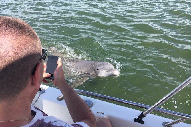 Hilton Head Island Dolphin Boat Cruise - Family appeal, from toddlers to adults