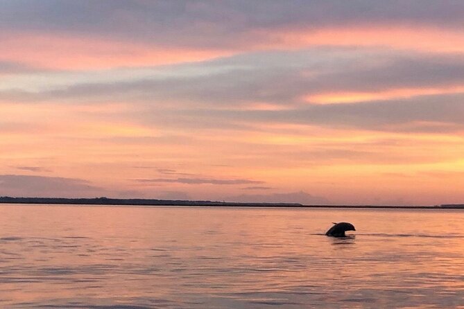 Hilton Head Island Dolphin Boat Cruise - The crew is a major part of the experience