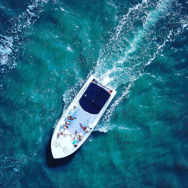 Hilton Head Island: Dolphin Cruise & Nature Tour - What the small boat means for comfort